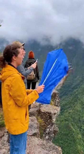 No App Needed – Works in Browser