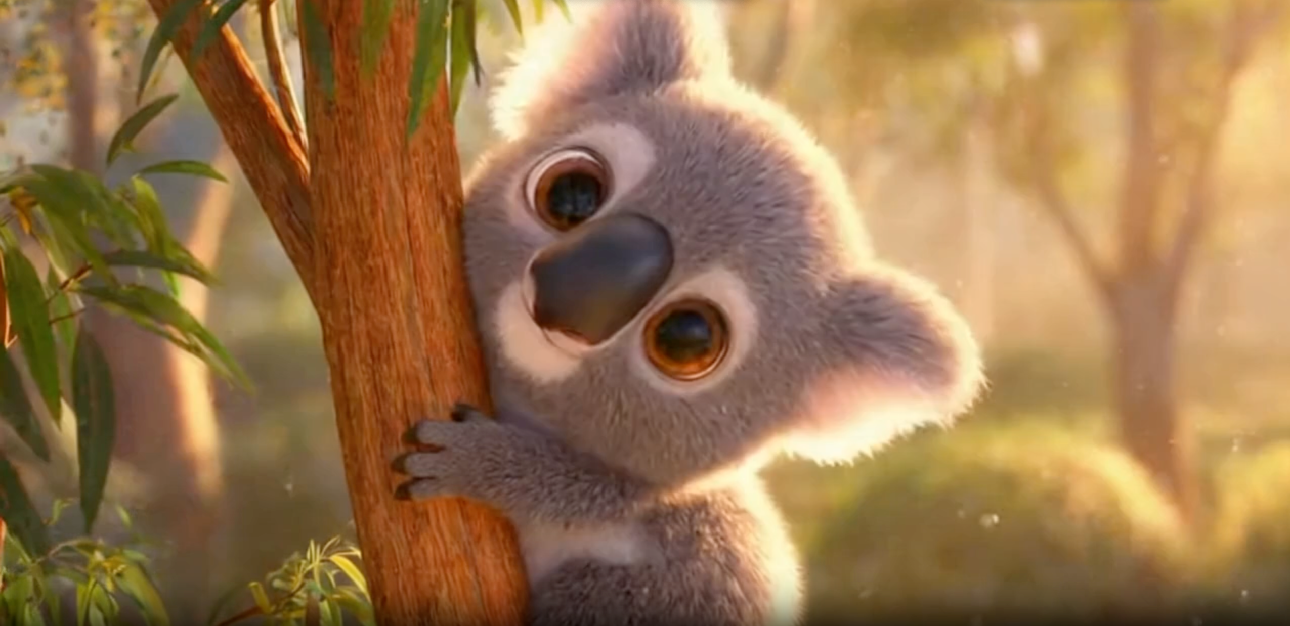 Instant Video Generation