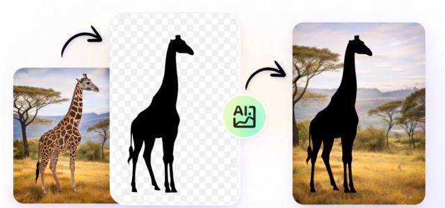 One-Click Photo to Silhouette