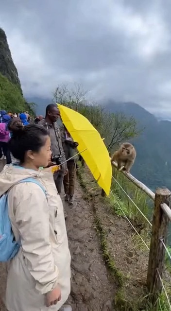 Shareable Content That Gets Likes and Goes Viral