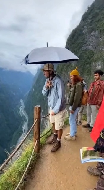 Create Viral Monkey Umbrella Videos That Get Millions of Views