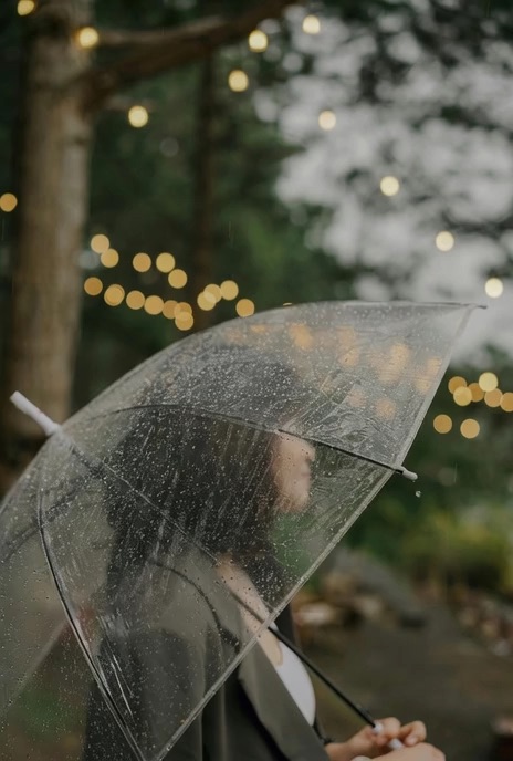 Intelligent Visual Styles