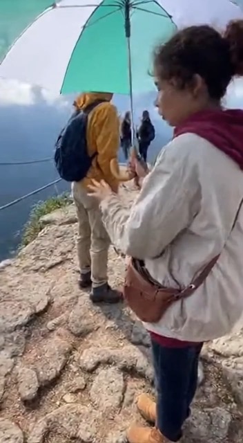 Perfect for Comedy, Memes, and Social Media