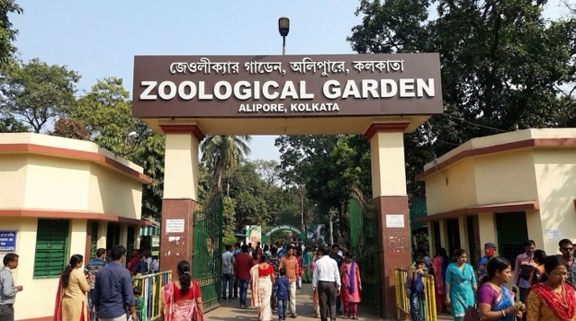 Powered by Google's Nano Banana Pro