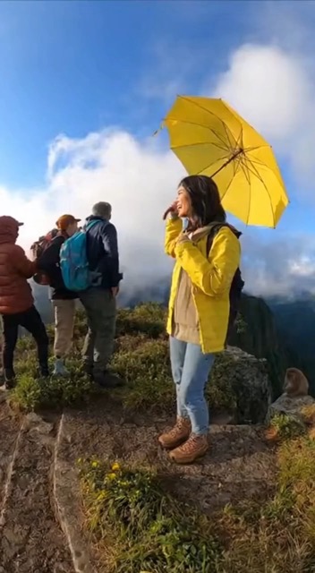 AI-Powered Monkey Umbrella Video Generator