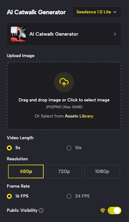 Upload Your Single Photo & Create Stunning Catwalk Videos