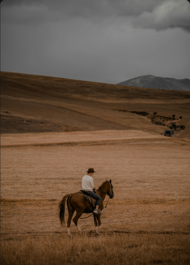 High-Definition Output & Superior Quality