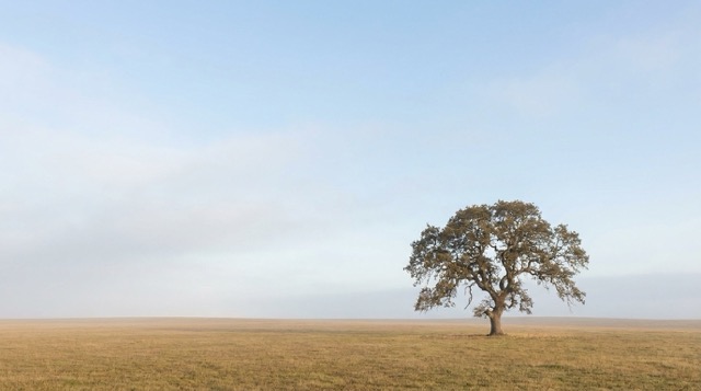 Turn Any Upload Into Negative Space Photography